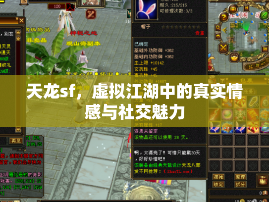 天龙sf，虚拟江湖中的真实情感与社交魅力