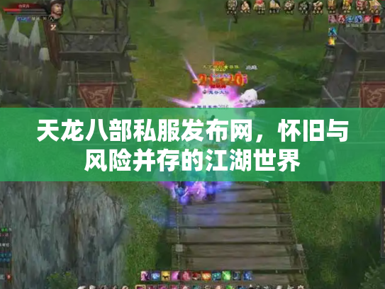 天龙八部私服发布网，怀旧与风险并存的江湖世界
