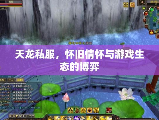天龙私服，怀旧情怀与游戏生态的博弈
