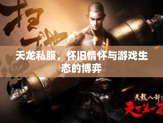 天龙私服，怀旧情怀与游戏生态的博弈