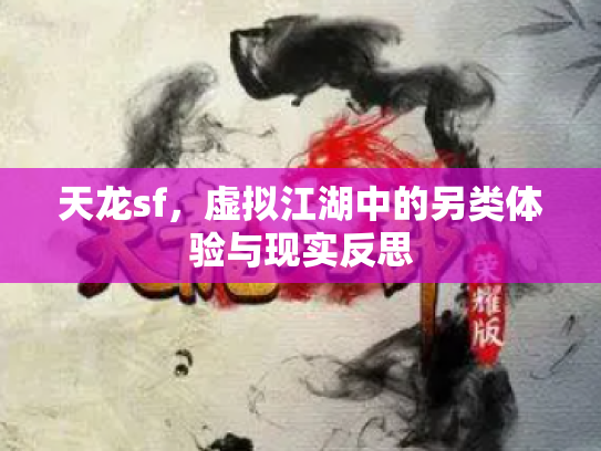 天龙sf，虚拟江湖中的另类体验与现实反思