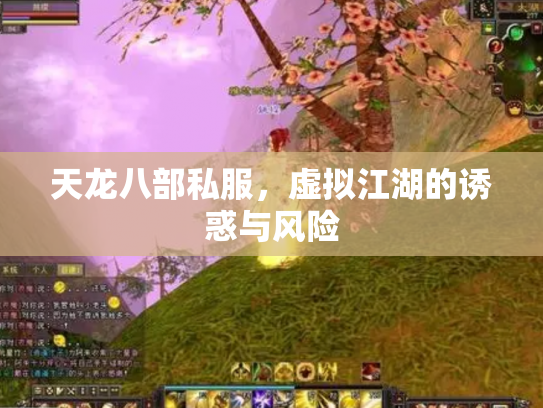 天龙八部私服，虚拟江湖的诱惑与风险