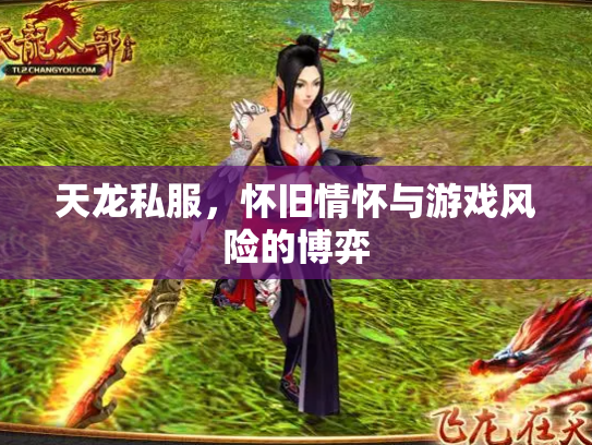 天龙私服，怀旧情怀与游戏风险的博弈