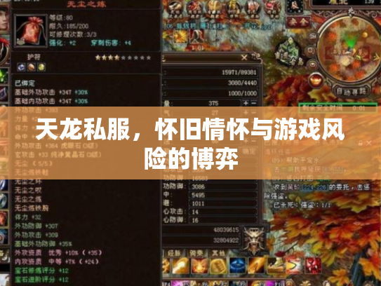 天龙私服，怀旧情怀与游戏风险的博弈