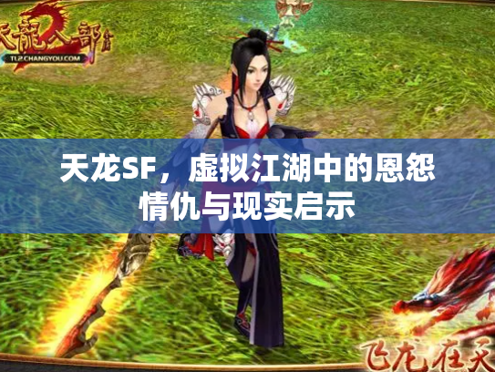 天龙SF，虚拟江湖中的恩怨情仇与现实启示