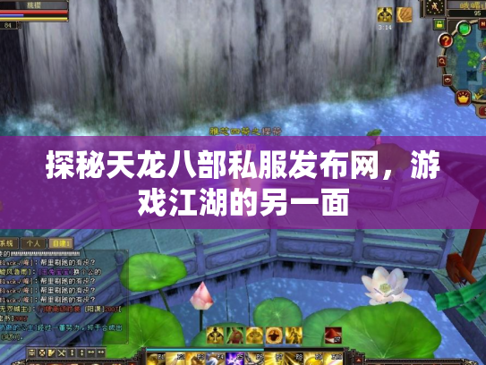 探秘天龙八部私服发布网，游戏江湖的另一面