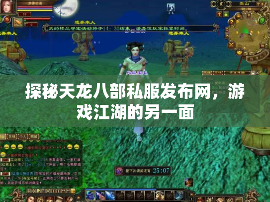 探秘天龙八部私服发布网，游戏江湖的另一面