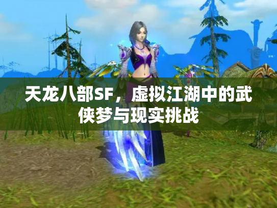 天龙八部SF，虚拟江湖中的武侠梦与现实挑战
