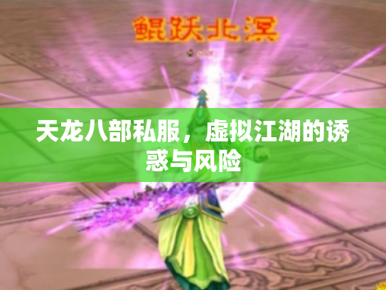 天龙八部私服，虚拟江湖的诱惑与风险