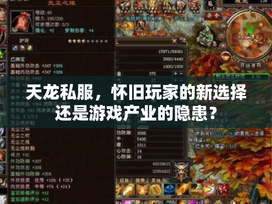 天龙私服，怀旧玩家的新选择还是游戏产业的隐患？