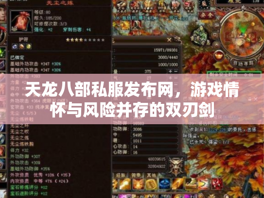 天龙八部私服发布网，游戏情怀与风险并存的双刃剑