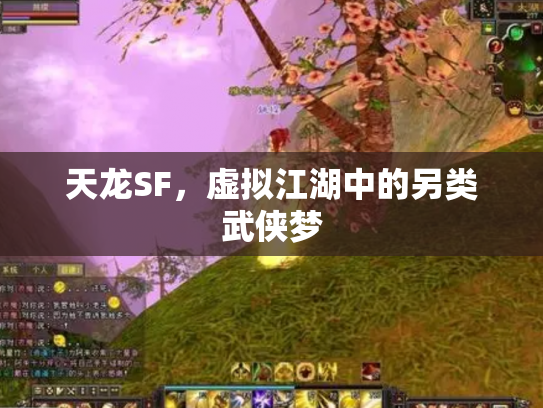 天龙SF，虚拟江湖中的另类武侠梦
