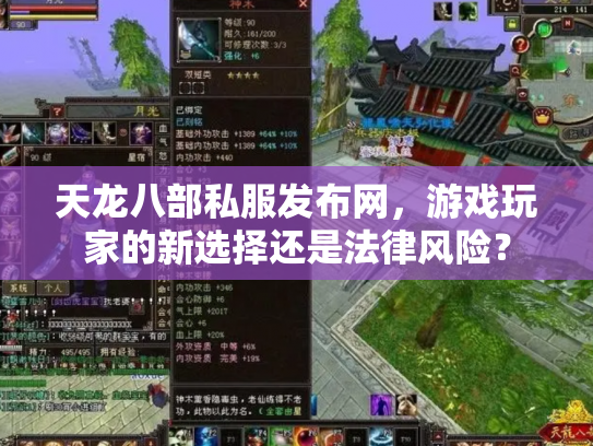 天龙八部私服发布网，游戏玩家的新选择还是法律风险？