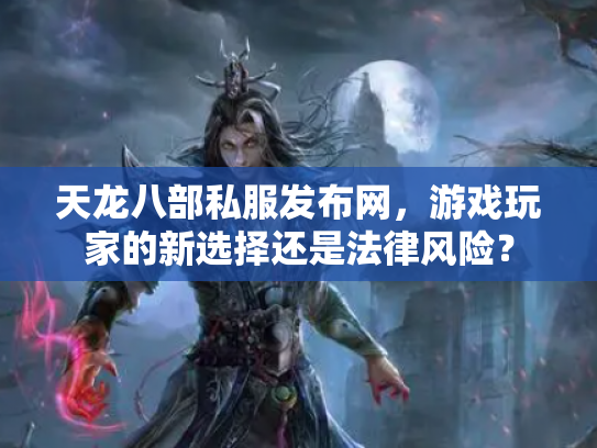 天龙八部私服发布网，游戏玩家的新选择还是法律风险？