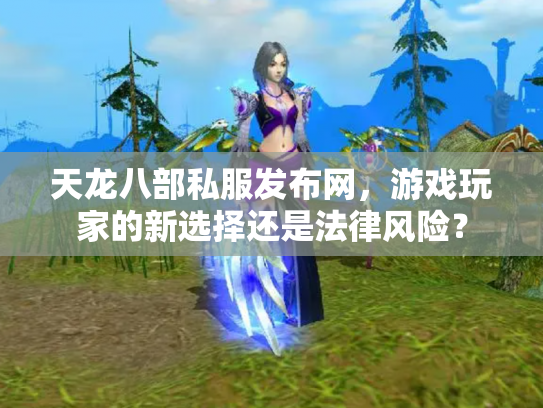天龙八部私服发布网，游戏玩家的新选择还是法律风险？