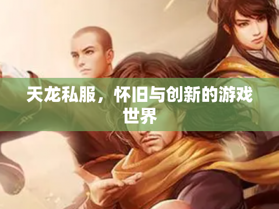 天龙私服，怀旧与创新的游戏世界