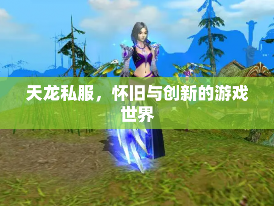 天龙私服，怀旧与创新的游戏世界