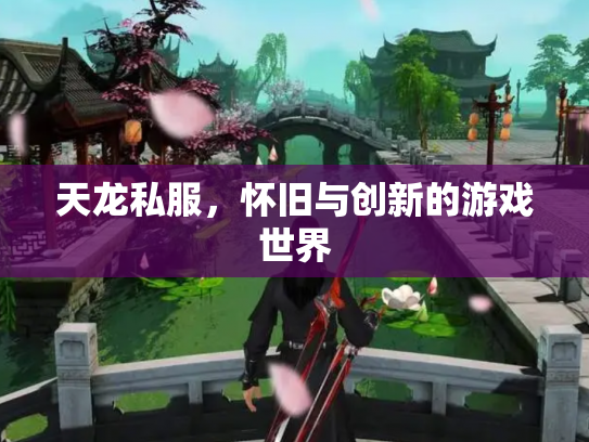 天龙私服，怀旧与创新的游戏世界