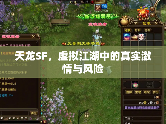 天龙SF，虚拟江湖中的真实激情与风险