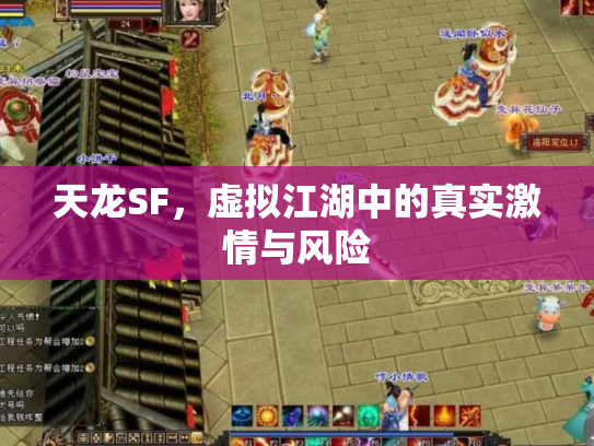 天龙SF，虚拟江湖中的真实激情与风险