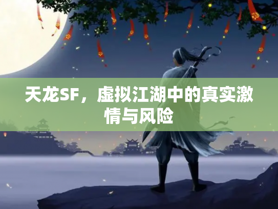 天龙SF，虚拟江湖中的真实激情与风险