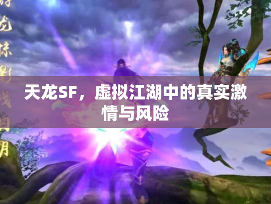 天龙SF，虚拟江湖中的真实激情与风险