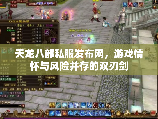 天龙八部私服发布网，游戏情怀与风险并存的双刃剑