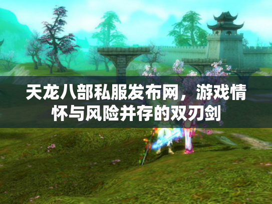 天龙八部私服发布网，游戏情怀与风险并存的双刃剑