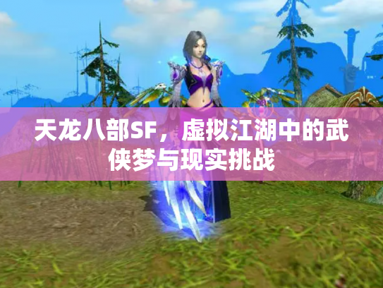 天龙八部SF，虚拟江湖中的武侠梦与现实挑战