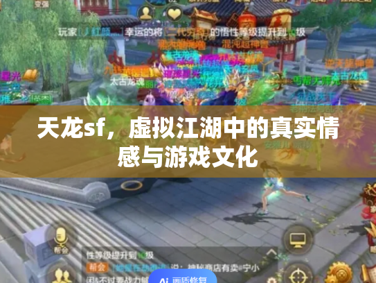 天龙sf，虚拟江湖中的真实情感与游戏文化