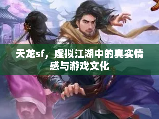 天龙sf，虚拟江湖中的真实情感与游戏文化