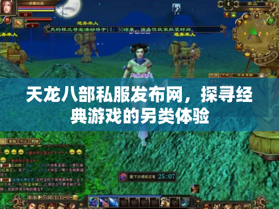 天龙八部私服发布网，探寻经典游戏的另类体验