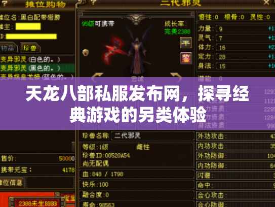 天龙八部私服发布网，探寻经典游戏的另类体验