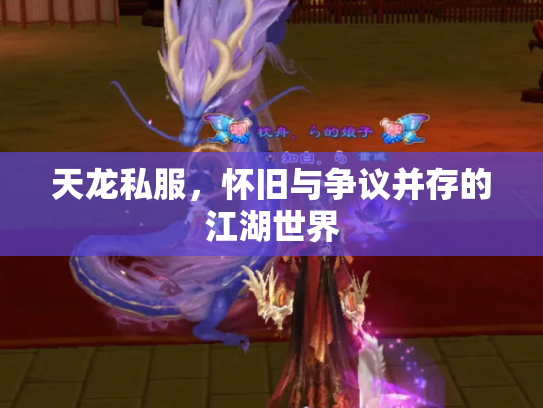天龙私服，怀旧与争议并存的江湖世界