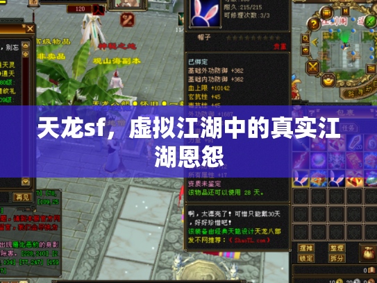 天龙sf，虚拟江湖中的真实江湖恩怨