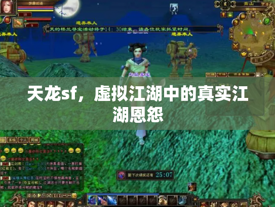 天龙sf，虚拟江湖中的真实江湖恩怨
