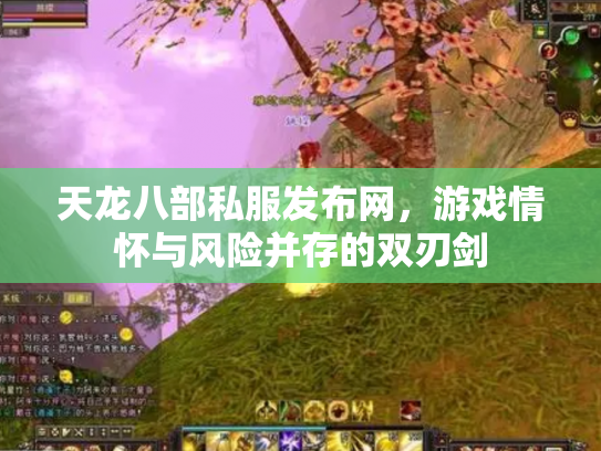 天龙八部私服发布网，游戏情怀与风险并存的双刃剑
