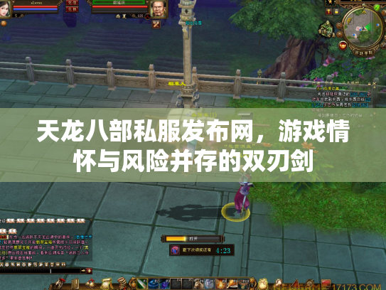 天龙八部私服发布网，游戏情怀与风险并存的双刃剑