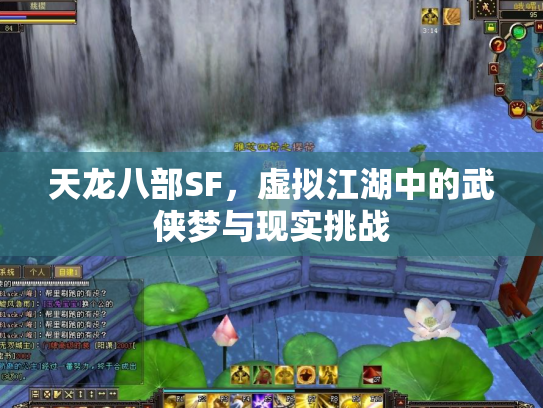 天龙八部SF，虚拟江湖中的武侠梦与现实挑战