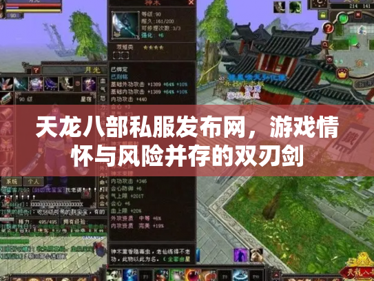 天龙八部私服发布网，游戏情怀与风险并存的双刃剑