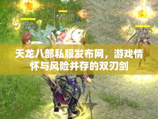 天龙八部私服发布网，游戏情怀与风险并存的双刃剑