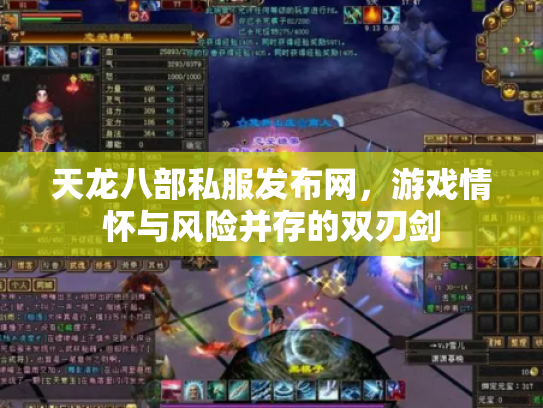 天龙八部私服发布网，游戏情怀与风险并存的双刃剑