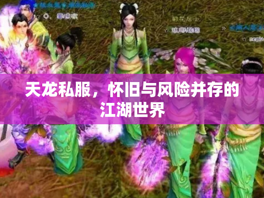 天龙私服，怀旧与风险并存的江湖世界