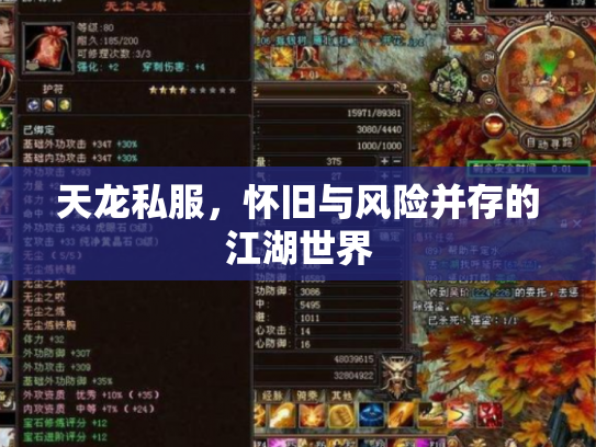 天龙私服，怀旧与风险并存的江湖世界