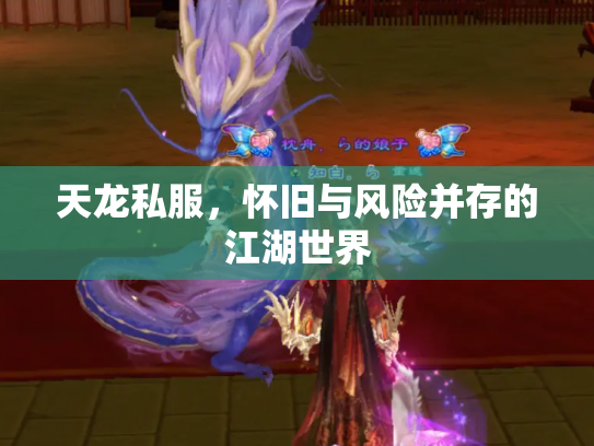 天龙私服，怀旧与风险并存的江湖世界