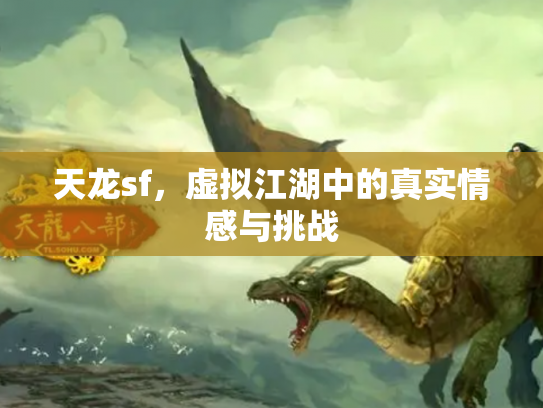 天龙sf，虚拟江湖中的真实情感与挑战