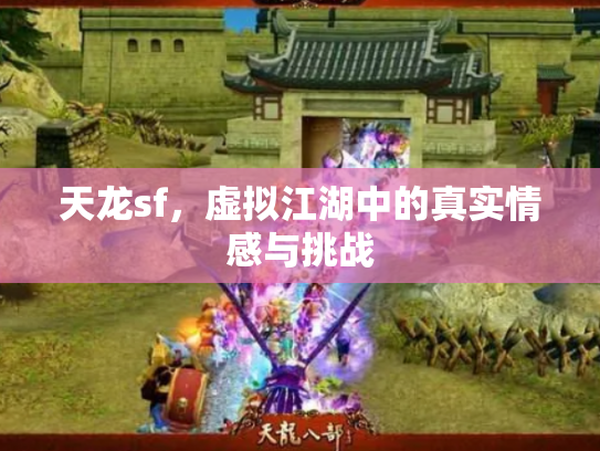天龙sf，虚拟江湖中的真实情感与挑战