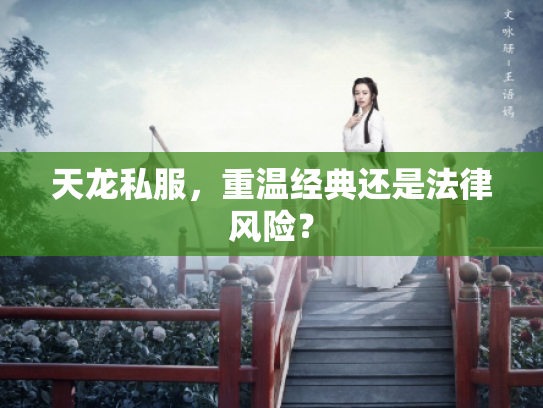 天龙私服，重温经典还是法律风险？
