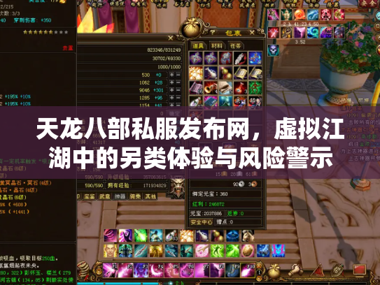 天龙八部私服发布网，虚拟江湖中的另类体验与风险警示