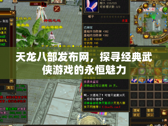 天龙八部发布网，探寻经典武侠游戏的永恒魅力